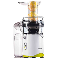 ZELMER 496 EXPRESSIVE